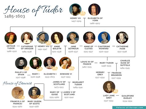 jane seymour and mary tudor|queen jane seymour family tree.